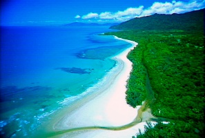 Cape Tribulation - Absolute Paradise At Your Door Step